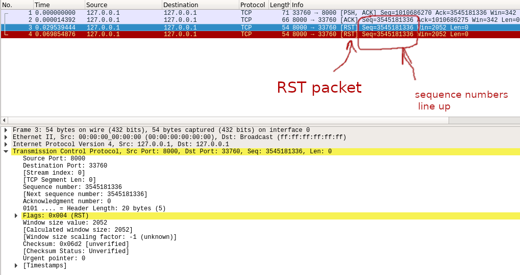 packet sender tcp response data