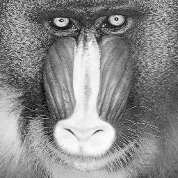 baboon_uncompressed